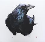 Аватар для Raven Ray_renamed_1477131_23012025